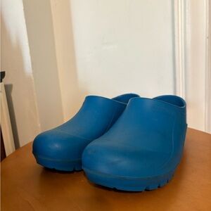 Blue Gardenheir Clogs